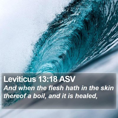 Leviticus 13:18 ASV Bible Verse Image