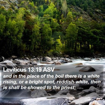 Leviticus 13:19 ASV Bible Verse Image