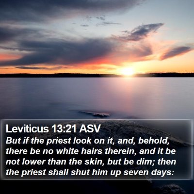 Leviticus 13:21 ASV Bible Verse Image