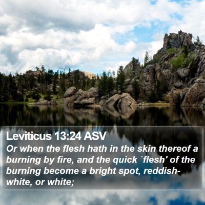 Leviticus 13:24 ASV Bible Verse Image