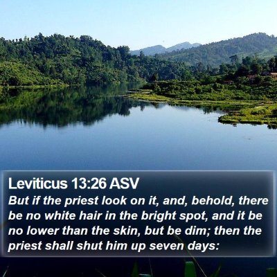 Leviticus 13:26 ASV Bible Verse Image