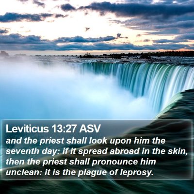 Leviticus 13:27 ASV Bible Verse Image