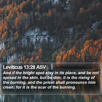 Leviticus 13:28 ASV Bible Verse Image