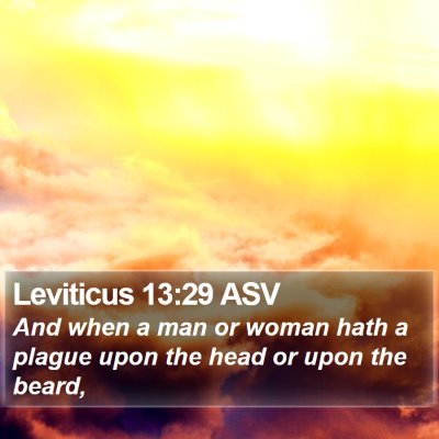 Leviticus 13:29 ASV Bible Verse Image