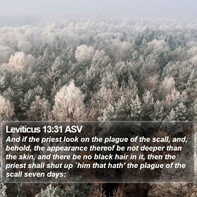 Leviticus 13:31 ASV Bible Verse Image