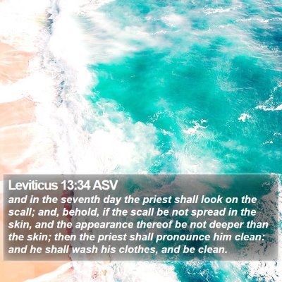 Leviticus 13:34 ASV Bible Verse Image