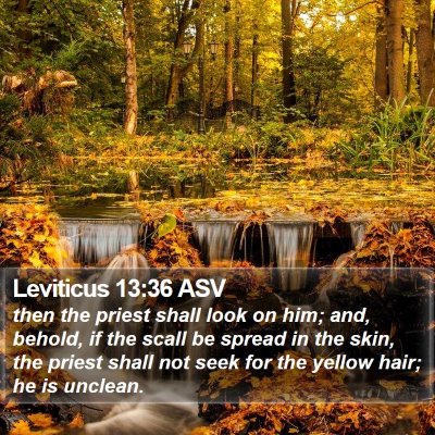 Leviticus 13:36 ASV Bible Verse Image