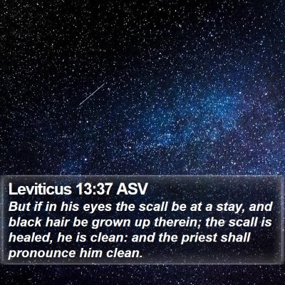 Leviticus 13:37 ASV Bible Verse Image