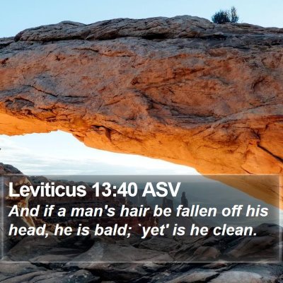 Leviticus 13:40 ASV Bible Verse Image