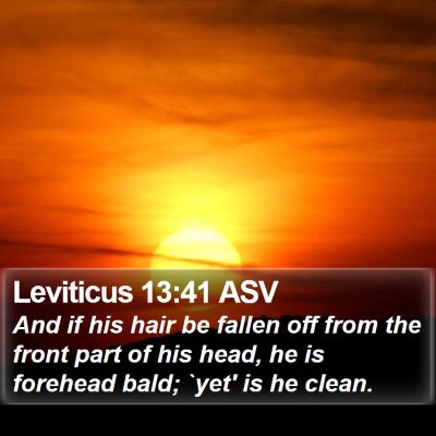 Leviticus 13:41 ASV Bible Verse Image