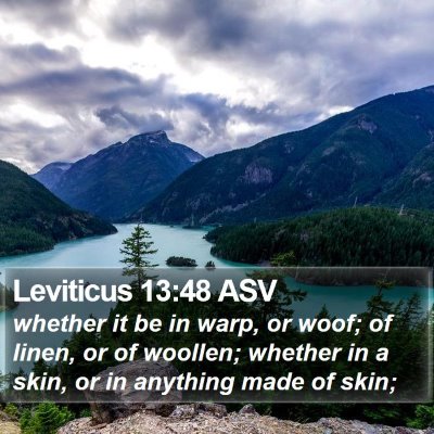 Leviticus 13:48 ASV Bible Verse Image