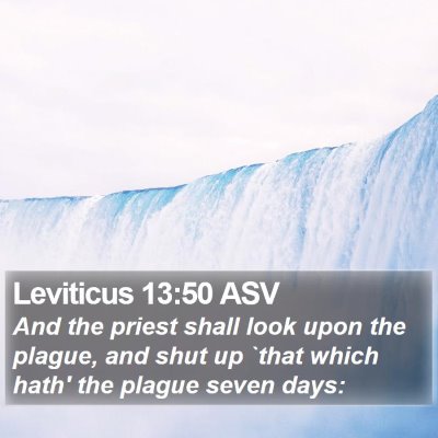 Leviticus 13:50 ASV Bible Verse Image