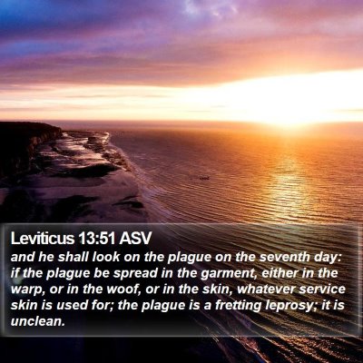 Leviticus 13:51 ASV Bible Verse Image