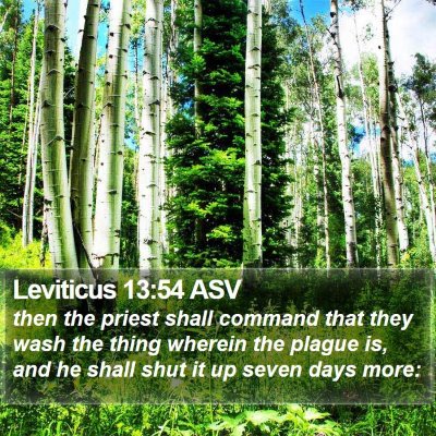 Leviticus 13:54 ASV Bible Verse Image