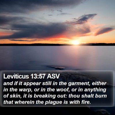 Leviticus 13:57 ASV Bible Verse Image