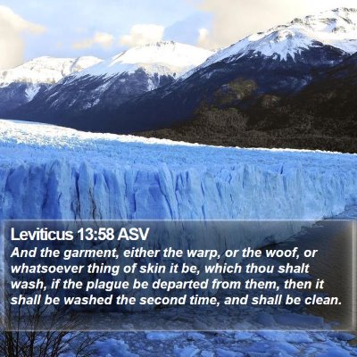Leviticus 13:58 ASV Bible Verse Image