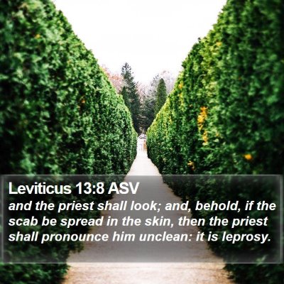 Leviticus 13:8 ASV Bible Verse Image