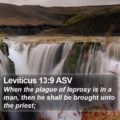 Leviticus 13:9 ASV Bible Verse Image