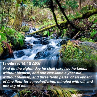 Leviticus 14:10 ASV Bible Verse Image