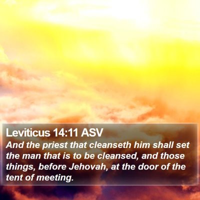 Leviticus 14:11 ASV Bible Verse Image