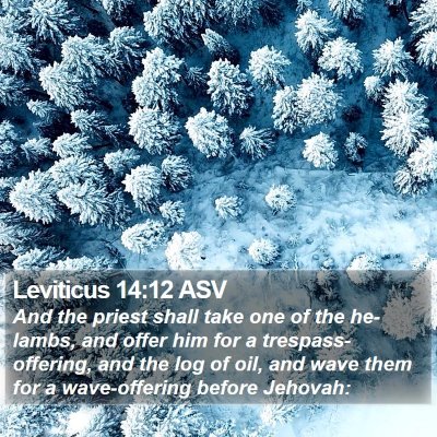 Leviticus 14:12 ASV Bible Verse Image
