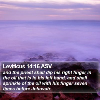 Leviticus 14:16 ASV Bible Verse Image