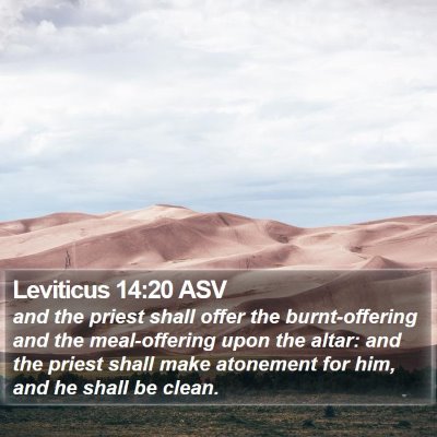 Leviticus 14:20 ASV Bible Verse Image