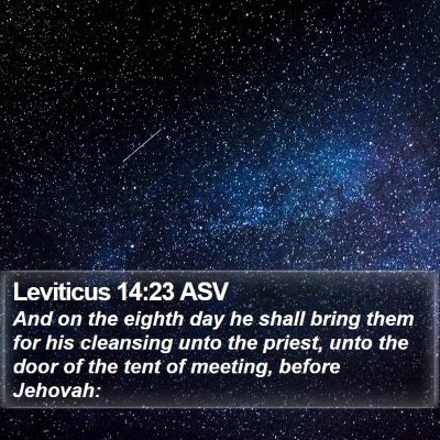 Leviticus 14:23 ASV Bible Verse Image