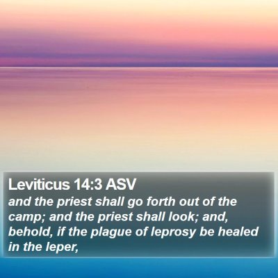 Leviticus 14:3 ASV Bible Verse Image