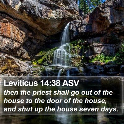 Leviticus 14:38 ASV Bible Verse Image