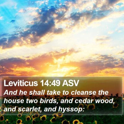 Leviticus 14:49 ASV Bible Verse Image