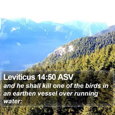 Leviticus 14:50 ASV Bible Verse Image