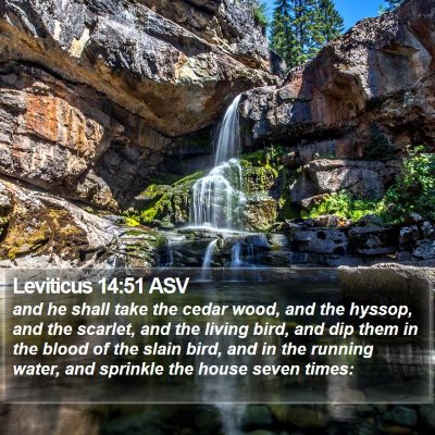 Leviticus 14:51 ASV Bible Verse Image