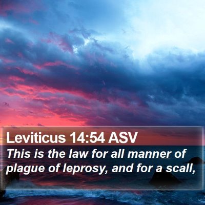 Leviticus 14:54 ASV Bible Verse Image