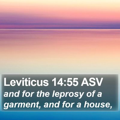 Leviticus 14:55 ASV Bible Verse Image