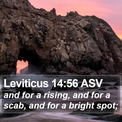 Leviticus 14:56 ASV Bible Verse Image