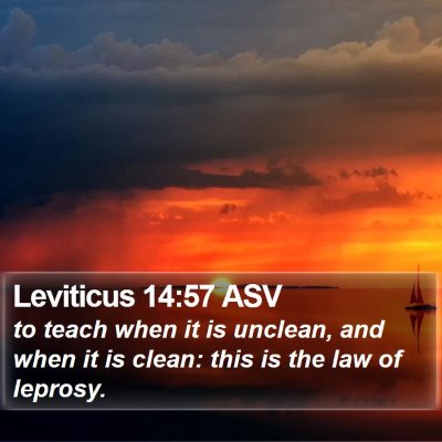Leviticus 14:57 ASV Bible Verse Image