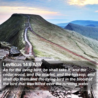 Leviticus 14:6 ASV Bible Verse Image