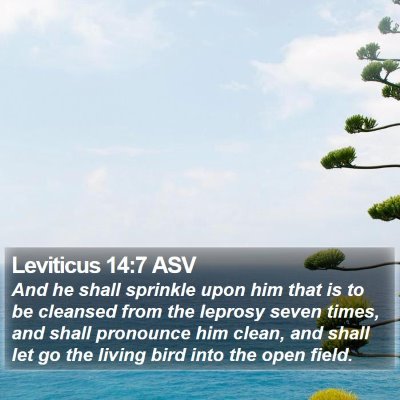 Leviticus 14:7 ASV Bible Verse Image