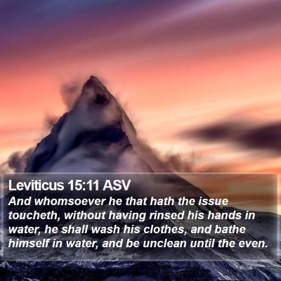 Leviticus 15:11 ASV Bible Verse Image