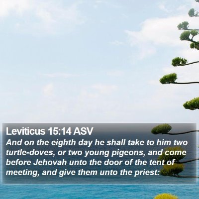 Leviticus 15:14 ASV Bible Verse Image