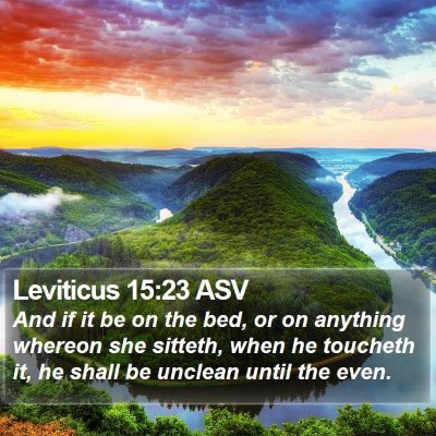 Leviticus 15:23 ASV Bible Verse Image