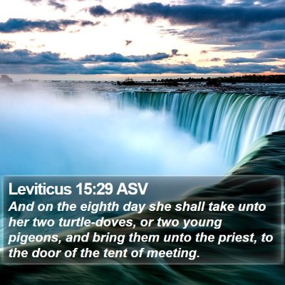 Leviticus 15:29 ASV Bible Verse Image