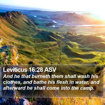 Leviticus 16:28 ASV Bible Verse Image