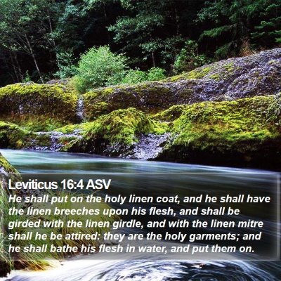 Leviticus 16:4 ASV Bible Verse Image