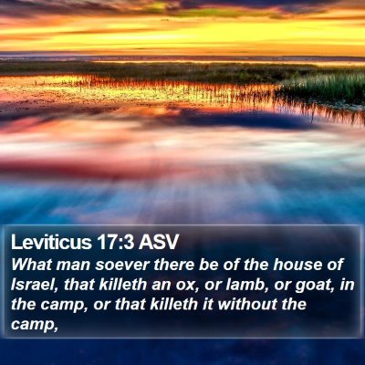 Leviticus 17:3 ASV Bible Verse Image