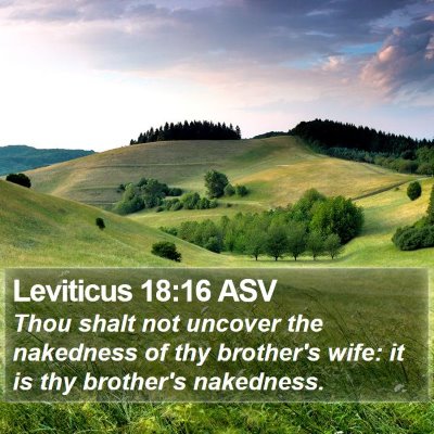 Leviticus 18:16 ASV Bible Verse Image
