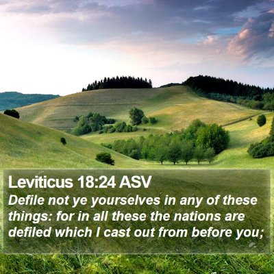 Leviticus 18:24 ASV Bible Verse Image