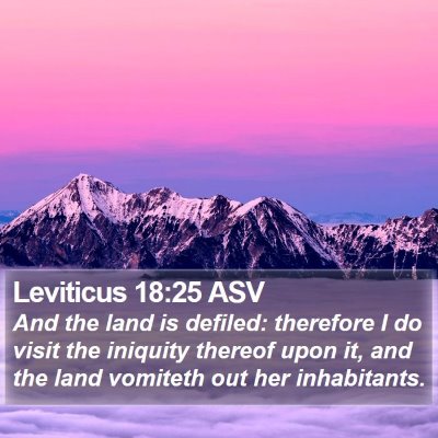 Leviticus 18:25 ASV Bible Verse Image