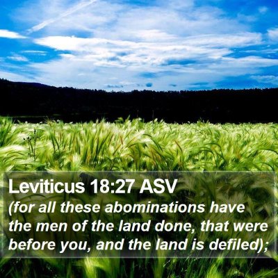 Leviticus 18:27 ASV Bible Verse Image